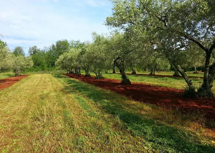Apartment By The Sea With Pool