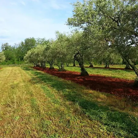 Appartement By The Sea With Pool